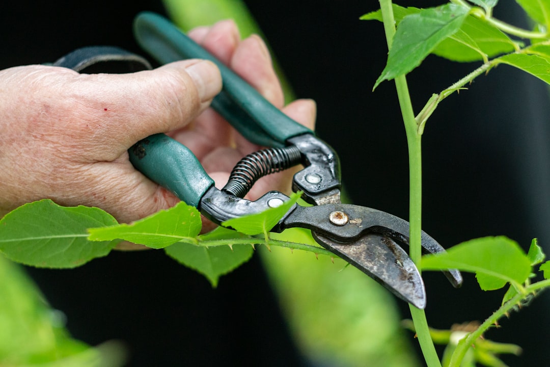 Content Pruning: When to Delete (Not Update) Old Articles
