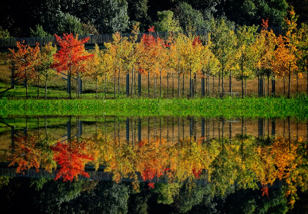 Tone Consistency When Multiple Writers Touch the Same Brand